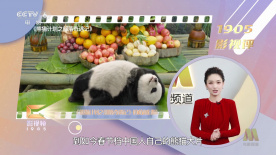 久久er国产精品免费观看2